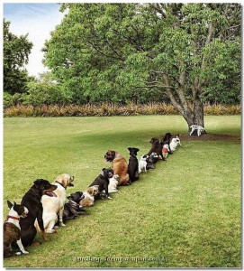 Foto ligeramente retocada Fotos un poco retocada